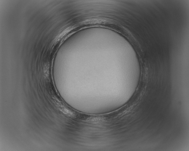 X0000076350778200610201759