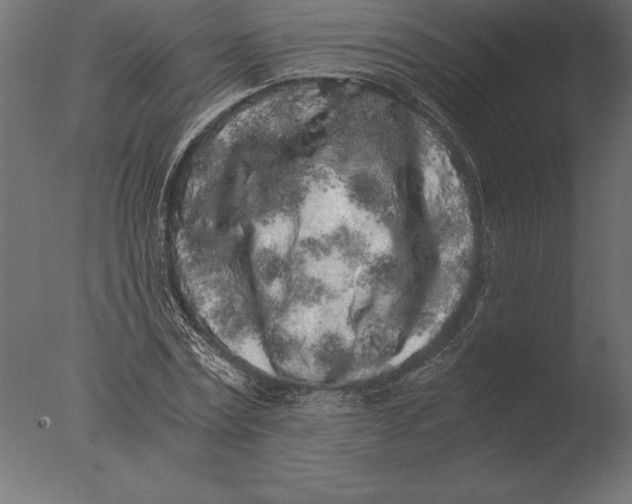 X0000076350779200610201759