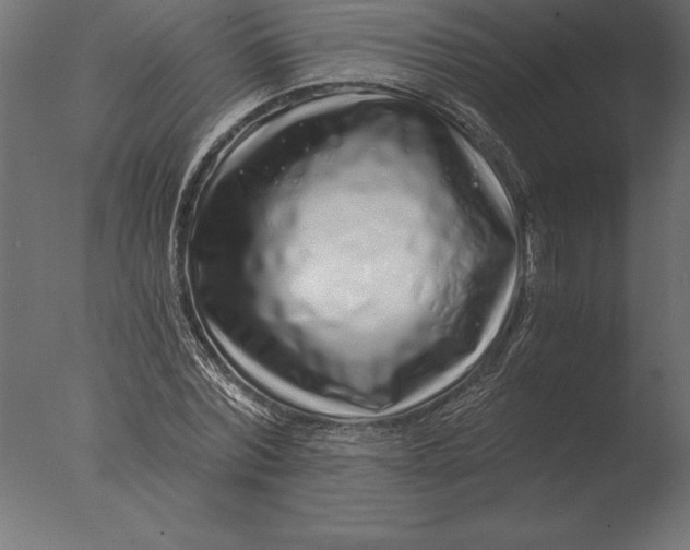 X0000076350780200610201759