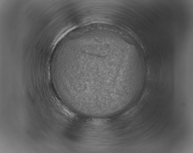 X0000076350782200610201759