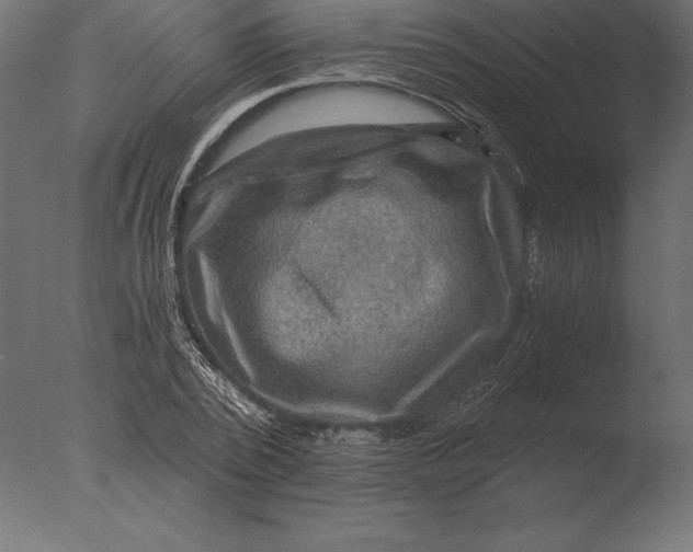 X0000076350784200610201759