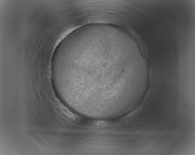 X0000076350787200610201759