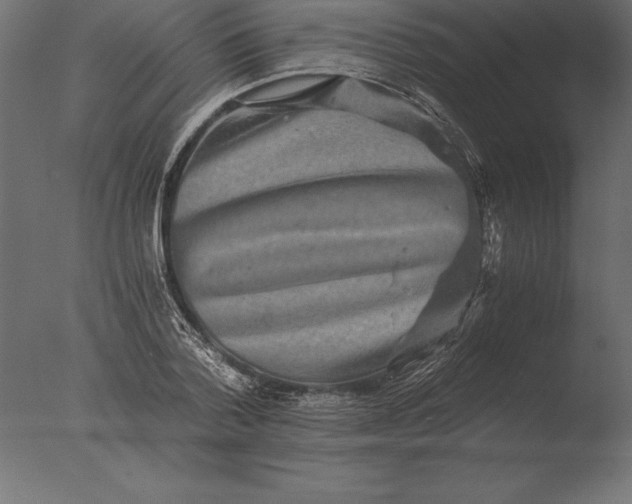 X0000076350788200610201759