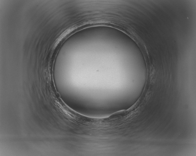 X0000076350789200610201759