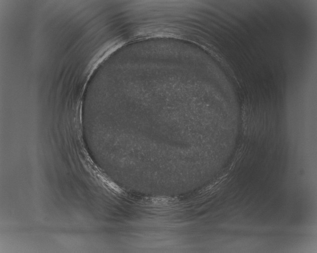 X0000076350790200610201759