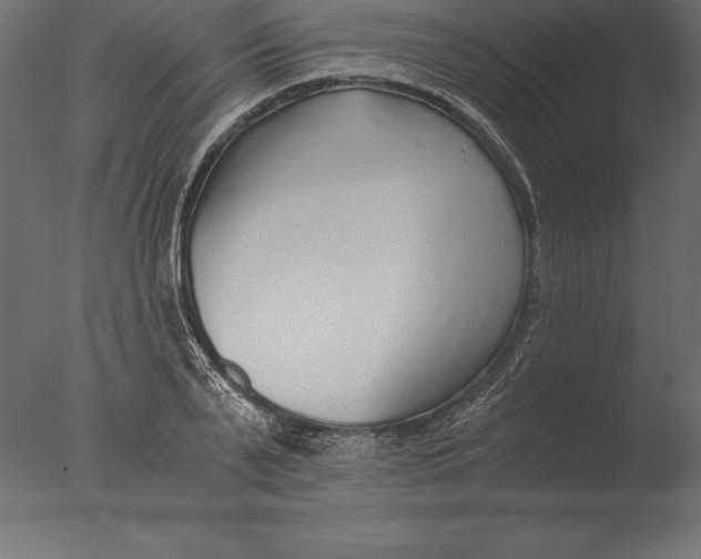 X0000076350791200610201759