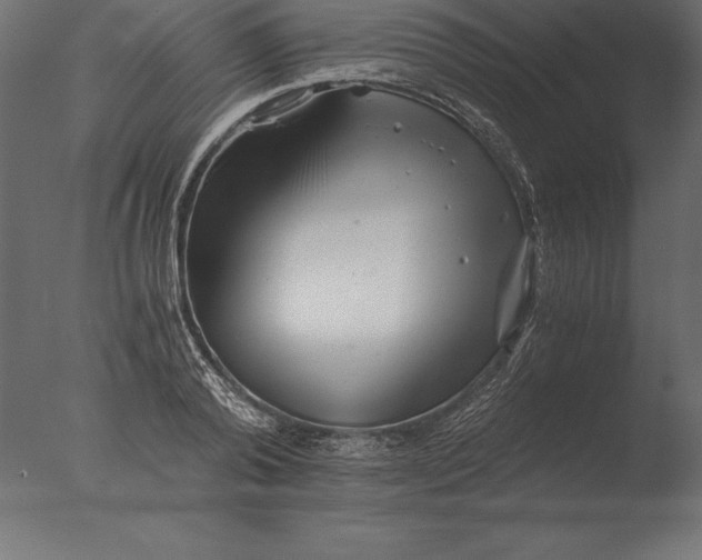 X0000076350792200610201759