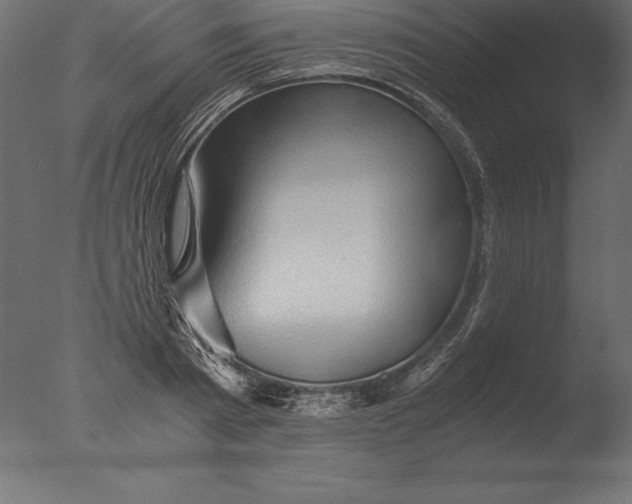 X0000076350793200610201759