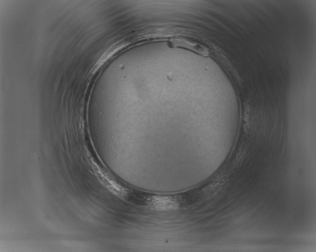 X0000076350794200610201759