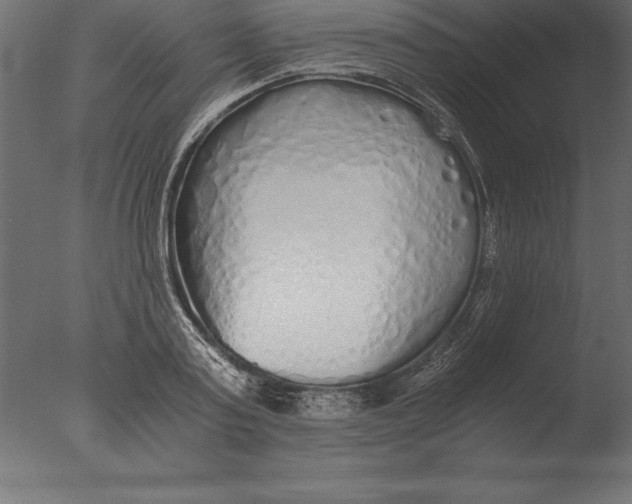 X0000076350795200610201759