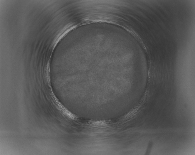 X0000076350798200610201759