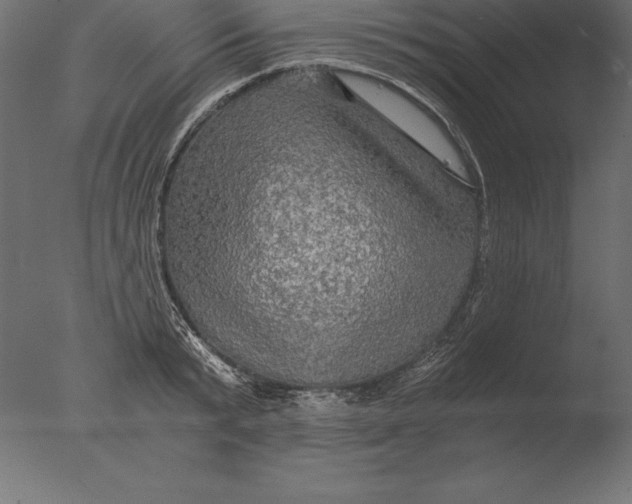 X0000076350799200610201759