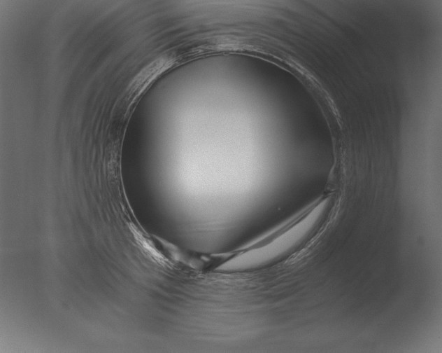 X0000076350801200610201759