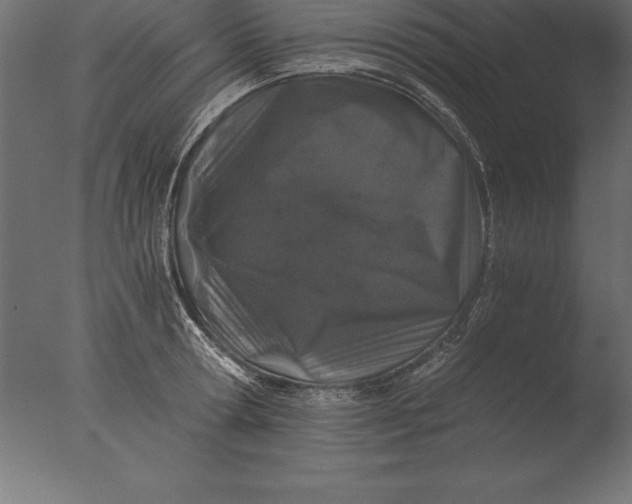 X0000076350802200610201759