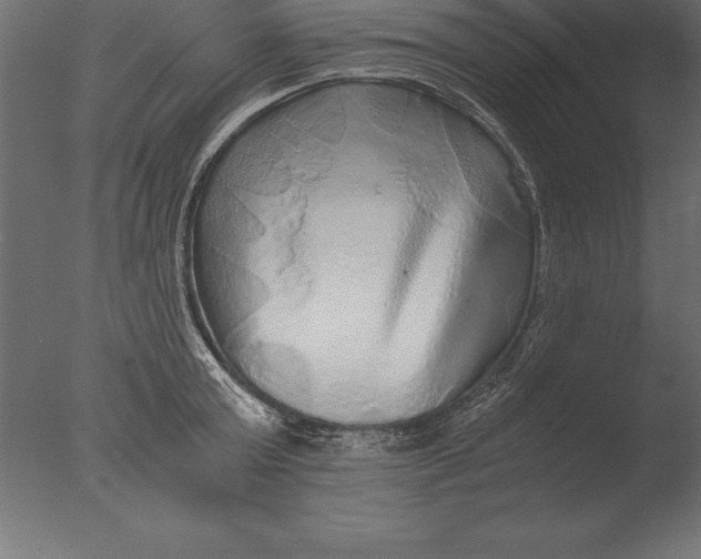 X0000076350803200610201759