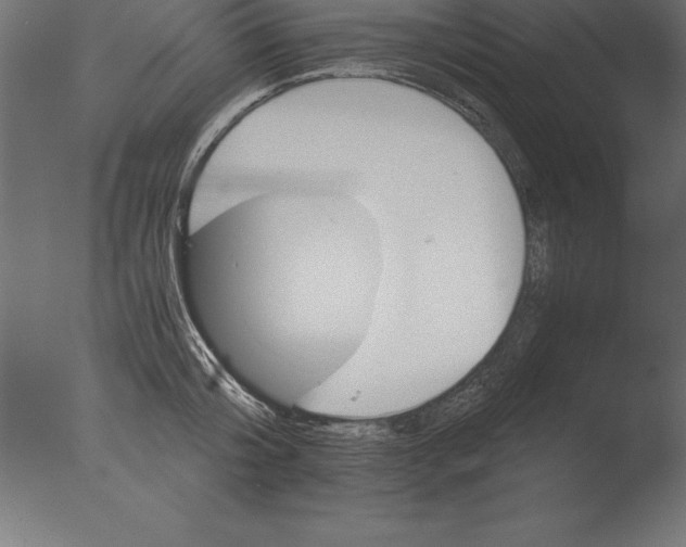 X0000076350804200610201759