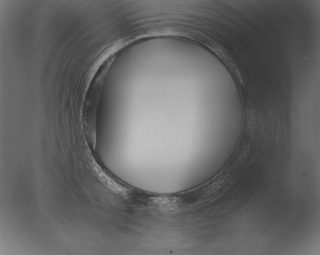 X0000076350805200610201759