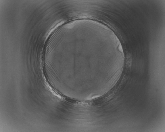 X0000076350806200610201759