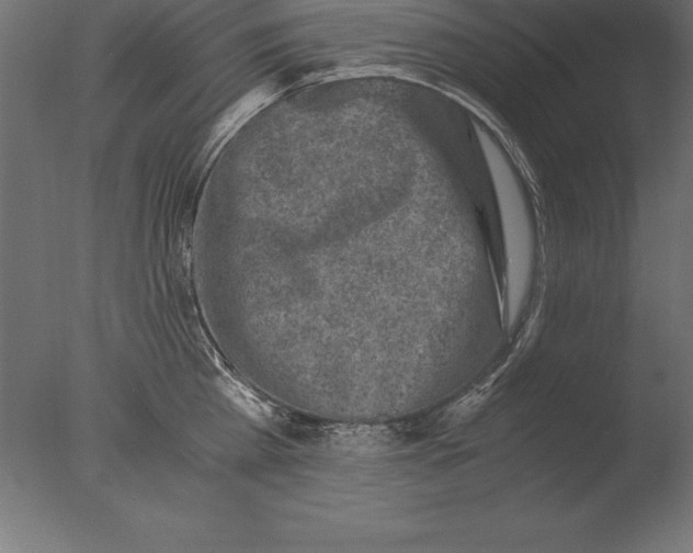 X0000076350809200610201758