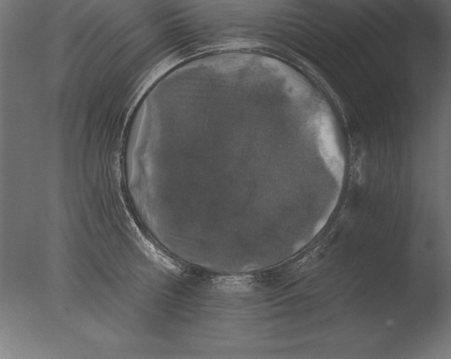 X0000076350810200610201758