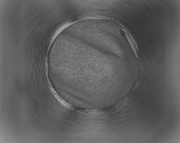 X0000076350811200610201758