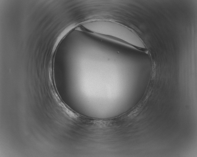 X0000076350812200610201758