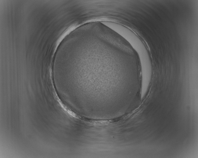 X0000076350813200610201758