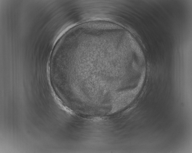 X0000076350814200610201758