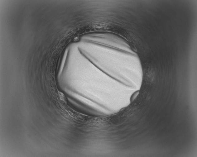 X0000076350817200610201758