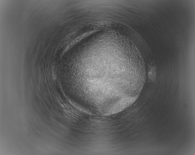 X0000076350819200610201758