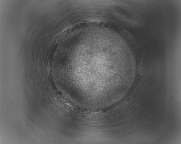 X0000076350821200610201758