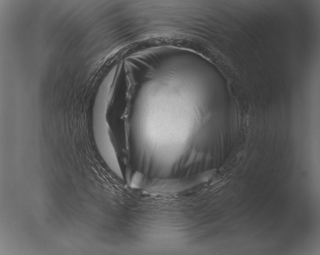 X0000076350822200610201758