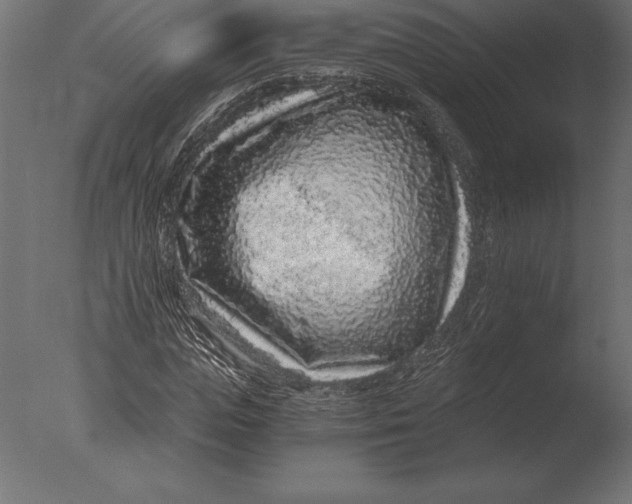 X0000076350823200610201758