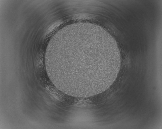 X0000076350824200610201758