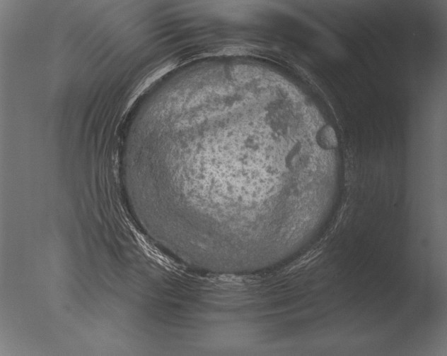 X0000076350827200610201758