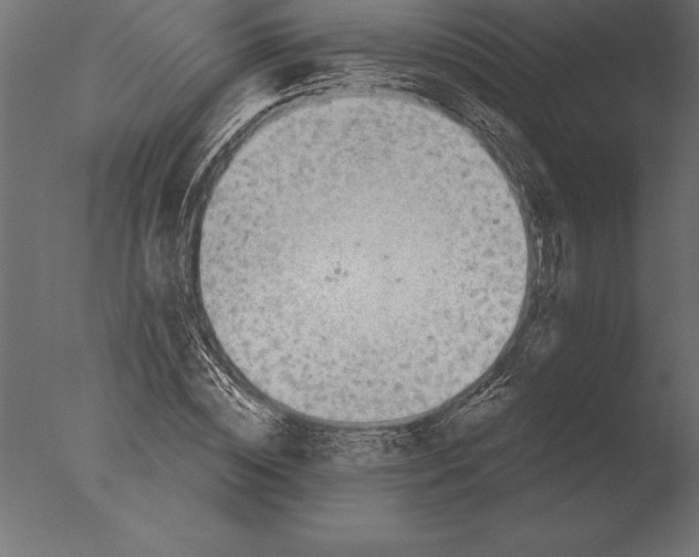 X0000076350828200610201758