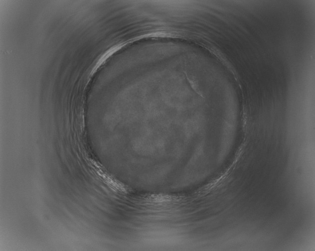 X0000076350829200610201758