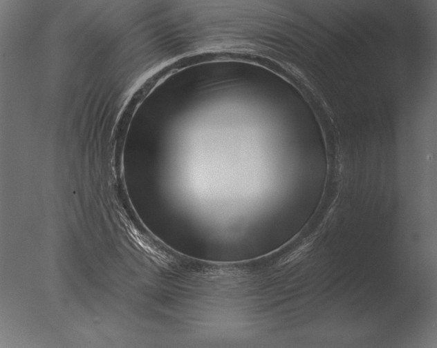 X0000076350830200610201758