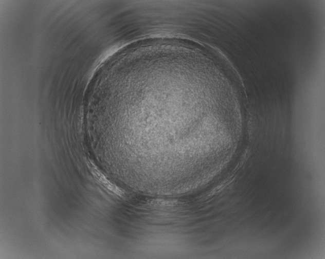 X0000076350831200610201758