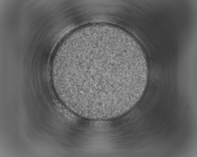 X0000076350832200610201758