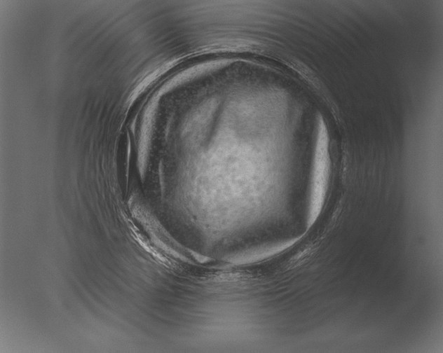 X0000076350834200610201758