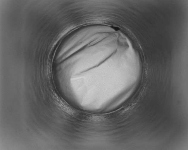 X0000076350835200610201758