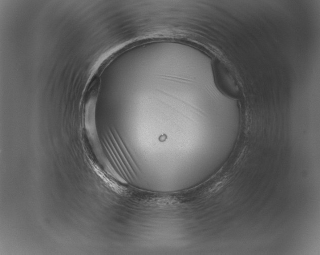 X0000076350838200610201758