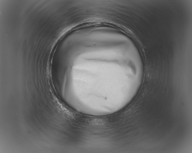 X0000076350839200610201758