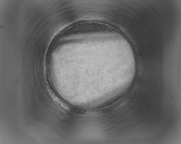 X0000076350840200610201758