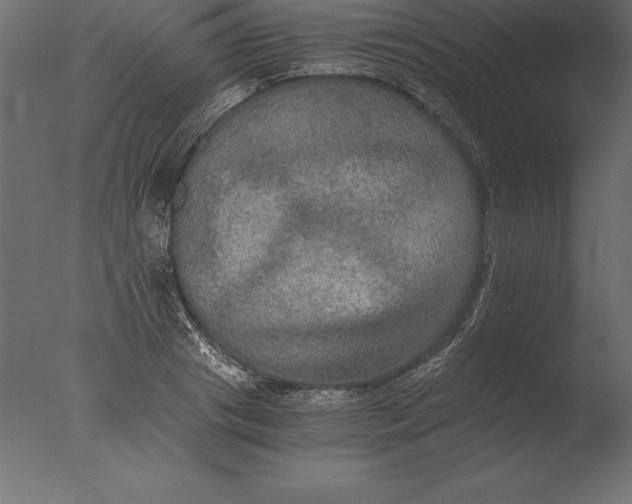 X0000076350841200610201758