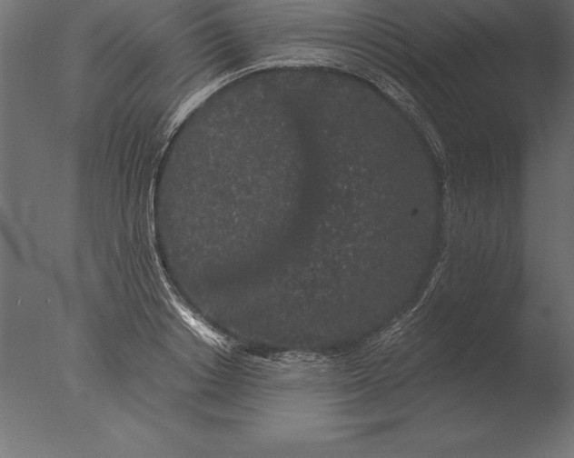 X0000076350842200610201758