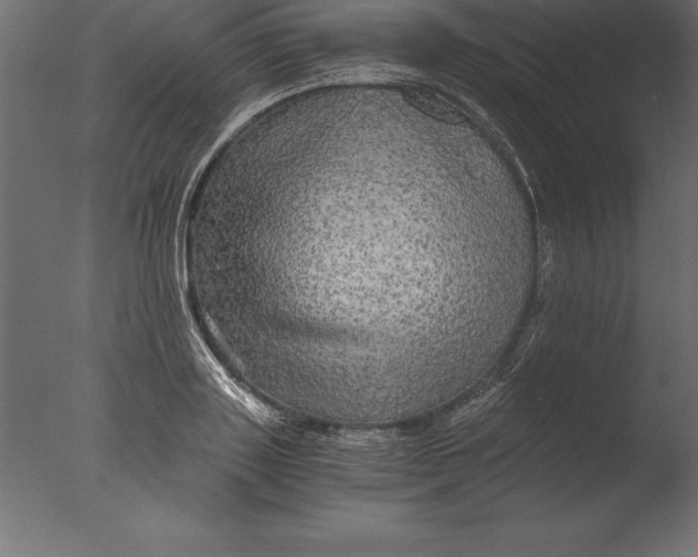 X0000076350843200610201758