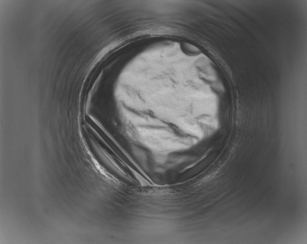 X0000076350845200610201758