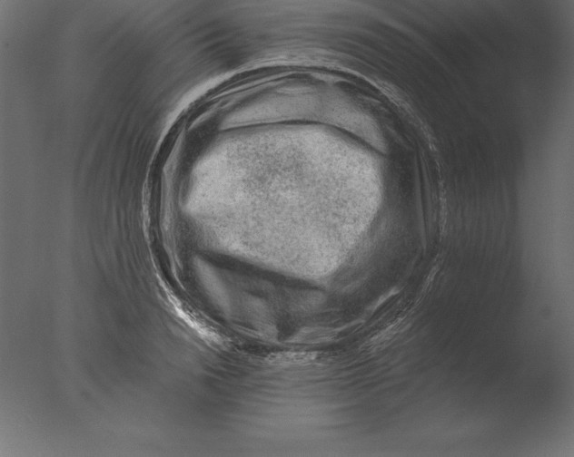 X0000076350846200610201758